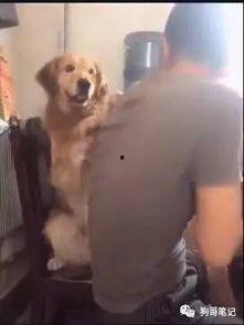 网红狗哥爆料吃瓜事件,揭秘娱乐圈吃瓜大事件! 第1张 网红狗哥爆料吃瓜事件,揭秘娱乐圈吃瓜大事件! 第1张